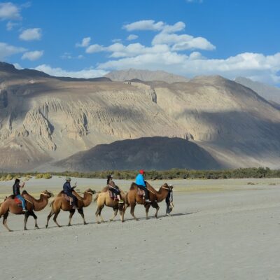 camel, valley, mountain-3607412.jpg